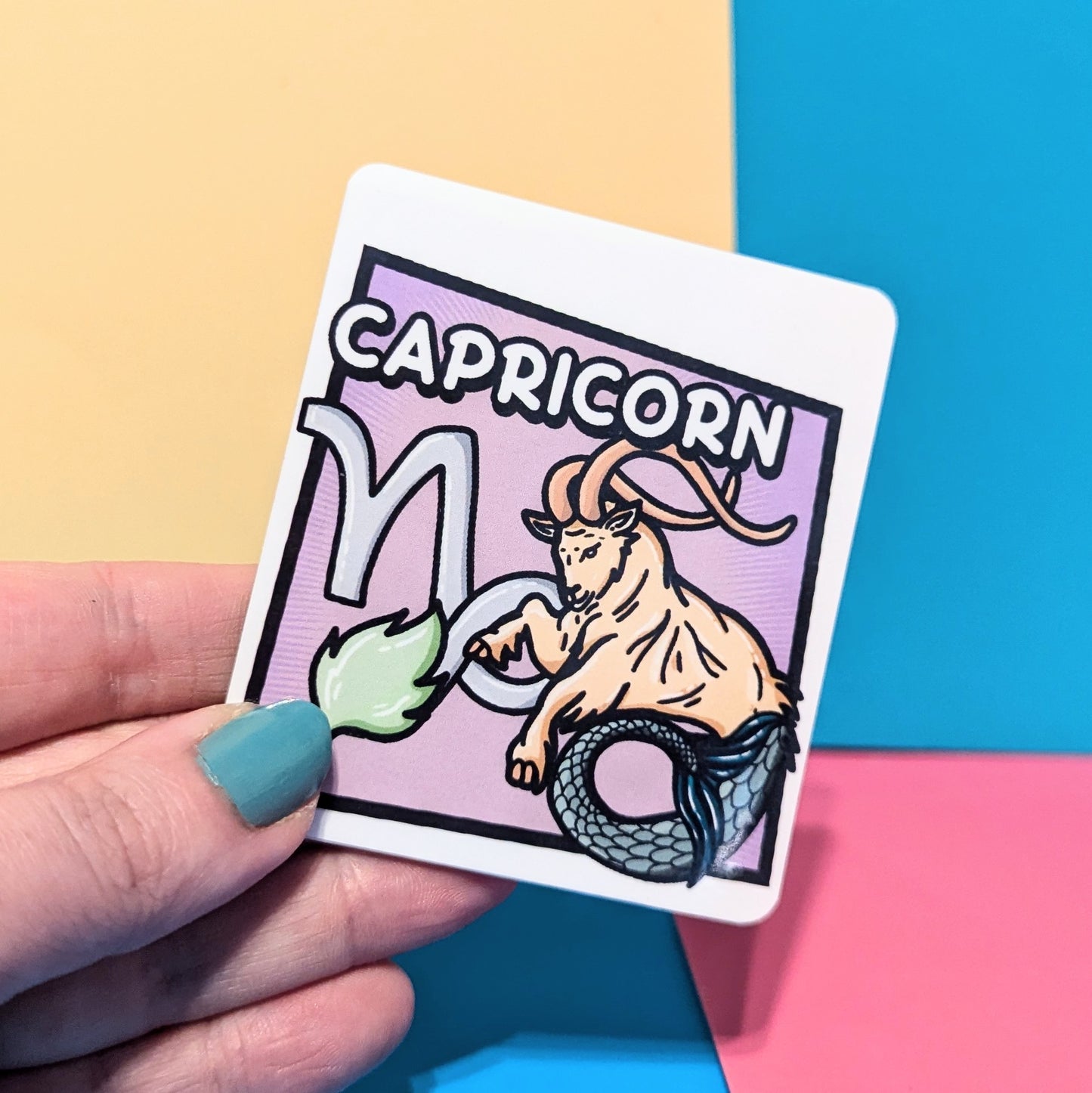 Capricorn Magnetic Bookmark - Star Sign Range